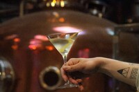 Limited-Edition Storytelling Gins Image 1