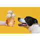 Dog-Friendly Ice Creams Image 1