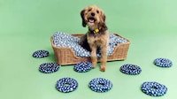 Charitable Pet Product Collections Image 1