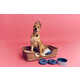 Charitable Pet Product Collections Image 2
