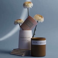 Efficient Candle Subscription Marketplaces Image 5