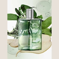Fresh Herbaceous Fragrances
