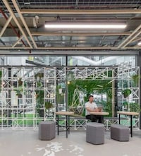 Nature-Themed Modern Workspaces Image 2