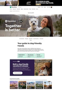 Pet-Friendly Travel Hubs Image 1