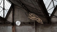 Tree Branch-Formed Lighting Series Image 3