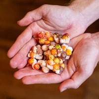 Crunchy Freeze-Dried Candies Image 3