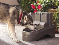Exterior Dual-Filtration Pet Fountains Image 1