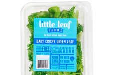 Crispy Pesticide-Free Lettuce
