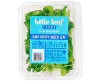 Crispy Pesticide-Free Lettuce Image 1