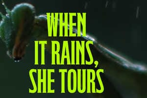 Royalty-Generating Nature Sounds Article Thubnail