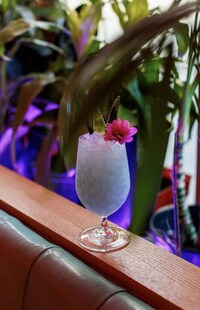 Vibrant All-Pink Cocktail Bars Image 5