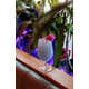Vibrant All-Pink Cocktail Bars Image 5
