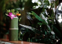 Vibrant All-Pink Cocktail Bars Image 6