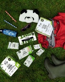 Festival Season Survival Kits Article Thubnail