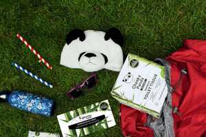 Festival Season Survival Kits Article Thubnail