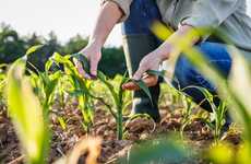 Pest-Fighting Crop Lines