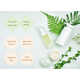 Plant-Based Cosmetic Ingredients Image 2