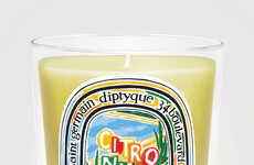 Luxury Citronnelle Candles