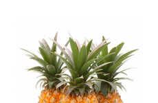 Personal-Size Pineapples