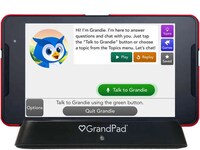 Elder-Focused Virtual Companions