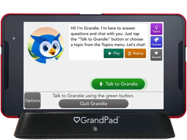 Elder-Focused Virtual Companions