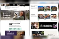 Traveler-Focused Pet Hubs