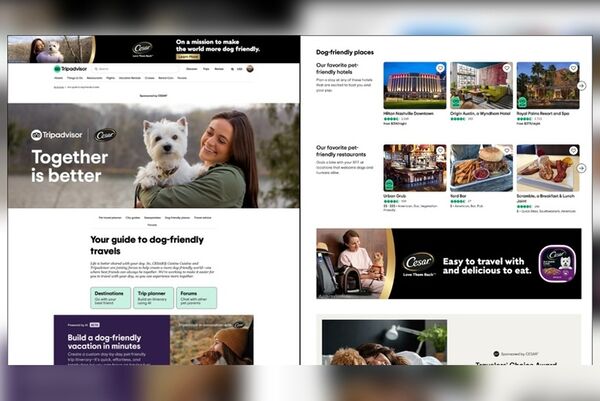 Traveler-Focused Pet Hubs