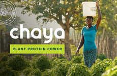 Chaya Protein Powders