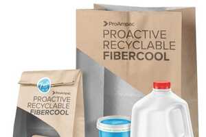 Insulated Recyclable Bags Article Thubnail