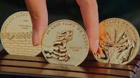 Vote-Encouraging Coin Campaigns Image 1