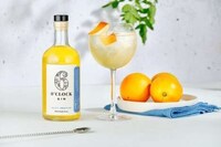 Hazy Warm Weather Gins Image 1