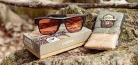 Cartoon Bear Eyewear Capsules