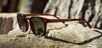 Cartoon Bear Eyewear Capsules Image 4