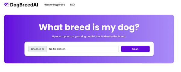 AI Dog Breed Identifiers