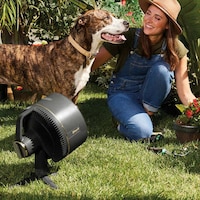Multipurpose Misting Fans Image 3