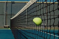 Pickleball-Friendly Speakers Image 2