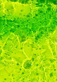 Juicy Fruit Toothpastes Image 2