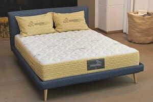 Eco-Minded Mattress Launches Article Thubnail