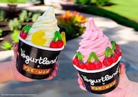 Cherry-Flavored Summer Sorbets Image 1
