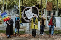Prolonged Activism Campaigns