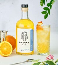 Hazy Orange Gins Image 1