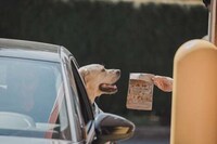 Dog-Friendly QSR Patties Image 1