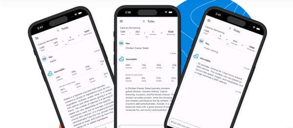 Chat-Based AI Calorie Counters
