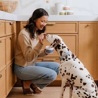 Stress-Busting Pet Supplements Image 2
