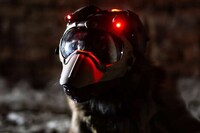 Modular Canine Helmets Image 1