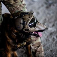 Modular Canine Helmets Image 4
