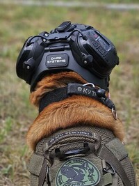 Modular Canine Helmets Image 5