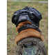 Modular Canine Helmets Image 5