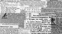 AI-Generated Genealogy Databases