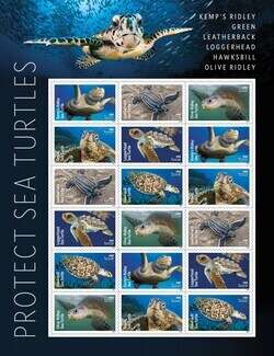 Turtles-Inspired Stamp Designs